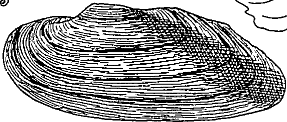 064/064340010101250_0.png