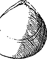 064/064340010101250_1.png