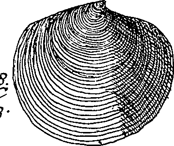 064/064340010101250_2.png