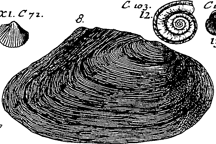 064/064340010101250_4.png