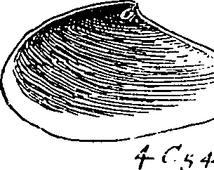 064/064340010101260_0.png