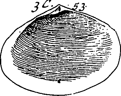064/064340010101260_3.png