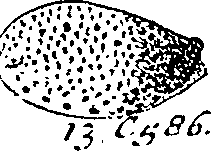 064/064340010101270_0.png