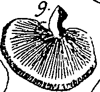 064/064340010101270_1.png