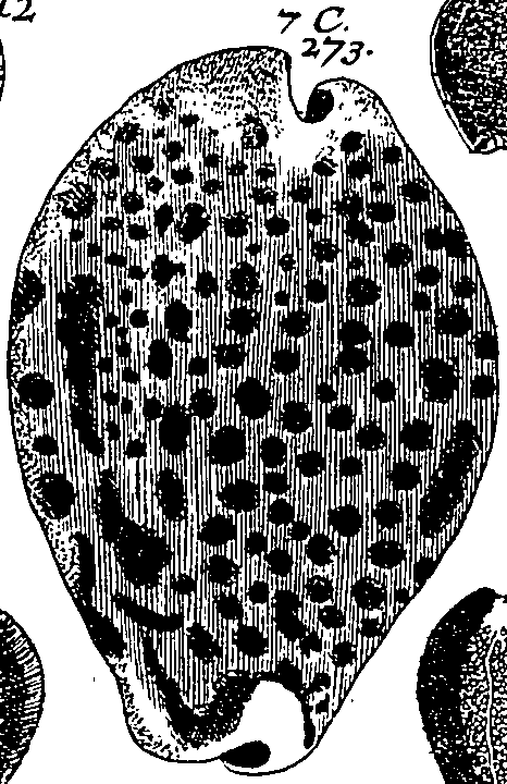 064/064340010101280_0.png