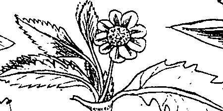 064/064340010101300_1.png