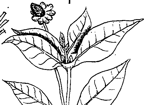 064/064340010101300_2.png
