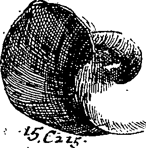 064/064340010101310_0.png
