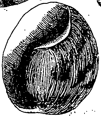 064/064340010101310_1.png