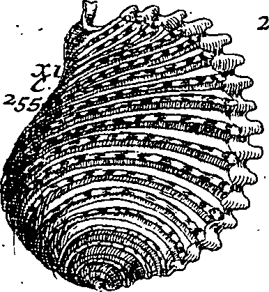 064/064340010101310_2.png
