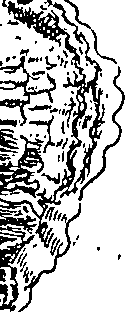 064/064340010101310_3.png