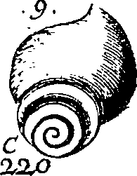 064/064340010101320_1.png
