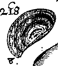 064/064340010101320_2.png