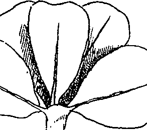 064/064340010101330_3.png