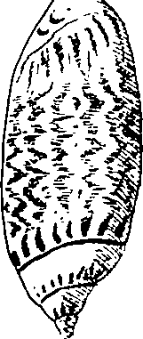 064/064340010101340_0.png