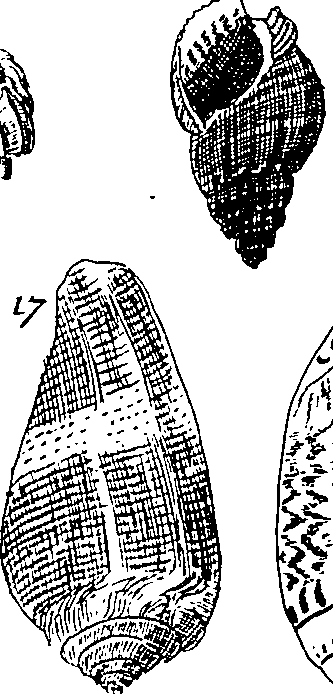 064/064340010101340_1.png
