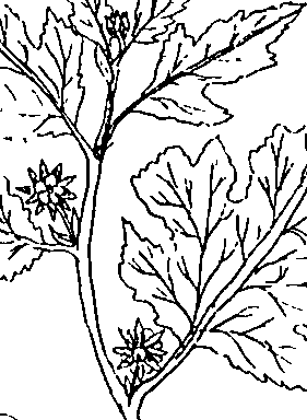064/064340010101340_3.png