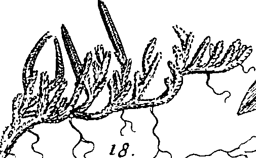 064/064340010101360_0.png