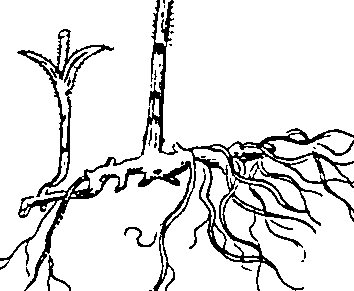 064/064340010101360_1.png