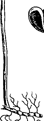 064/064340010101370_0.png