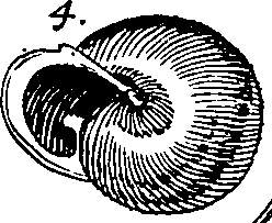 064/064340010101370_2.png