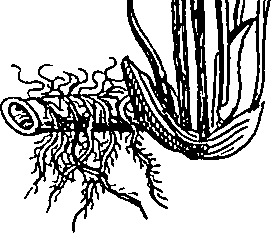 064/064340010101370_4.png