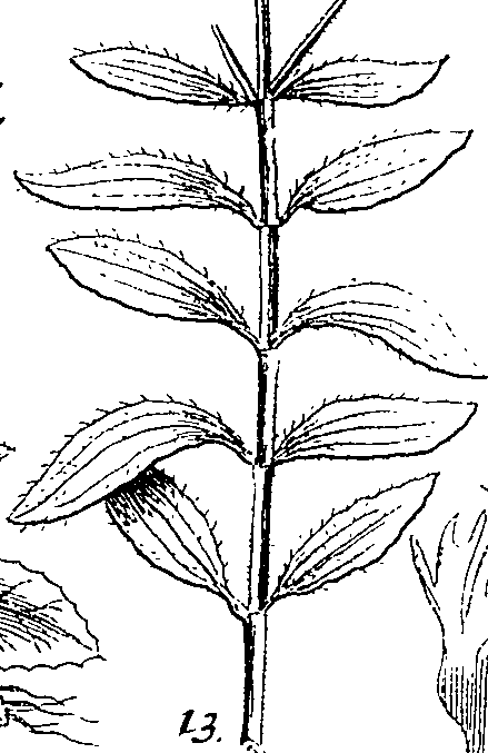 064/064340010101380_1.png