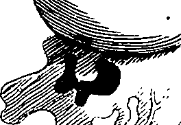 064/064340010101380_3.png