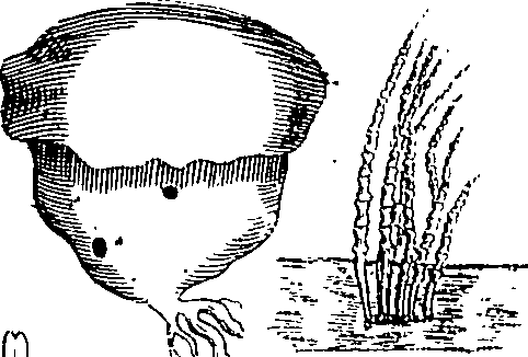 064/064340010101380_4.png