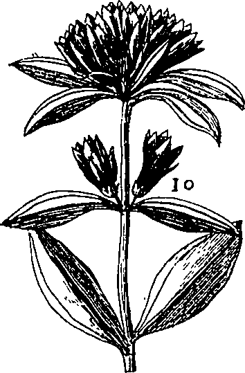 064/064340010101400_1.png