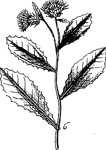 064/064340010101400_2.png