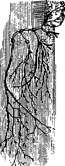 064/064340010101400_3.png