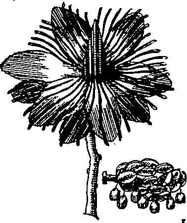 064/064340010101410_0.png