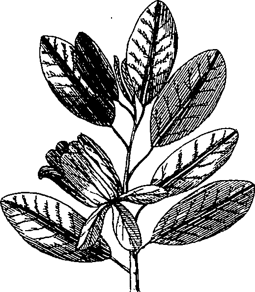 064/064340010101410_1.png