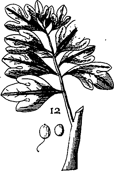 064/064340010101410_4.png