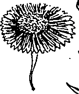 064/064340010101430_1.png