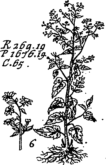 064/064340010101430_2.png