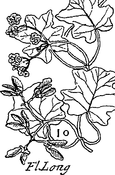 064/064340010101450_1.png