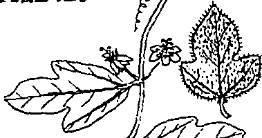 064/064340010101450_2.png