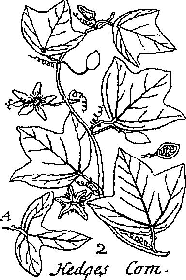 064/064340010101450_3.png