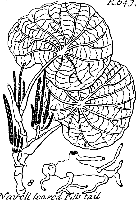 064/064340010101470_0.png