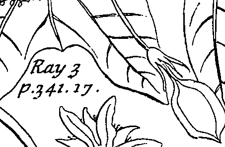 064/064340010101500_0.png