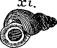 064/064340010101500_1.png