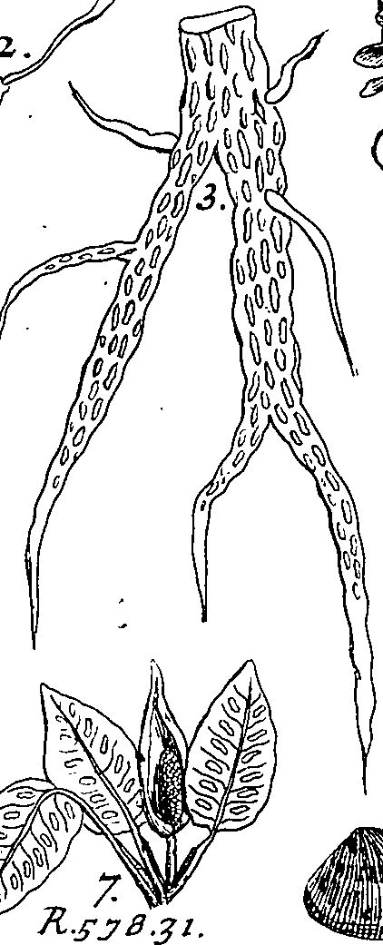064/064340010101500_2.png