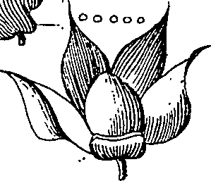064/064340010101510_0.png