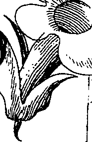 064/064340010101510_2.png