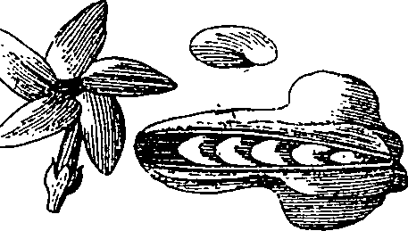 064/064340010101510_3.png