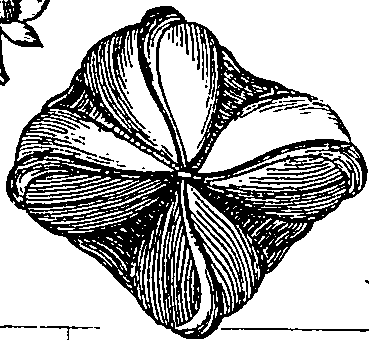 064/064340010101510_4.png