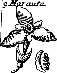 064/064340010101510_5.png