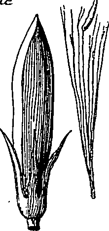 064/064340010101510_6.png